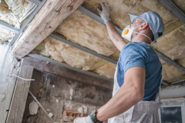 Best Residential Insulation in Hillsboro, TX