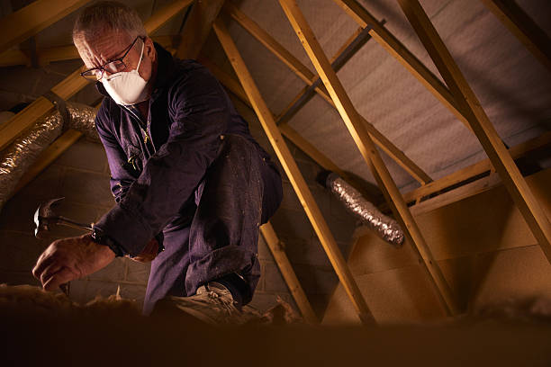 Best Commercial Insulation in Hillsboro, TX