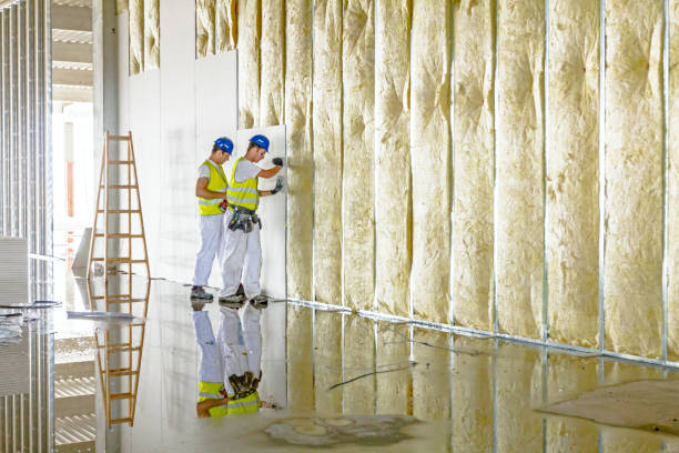 Best Insulation Installation Services in Hillsboro, TX